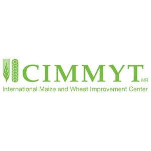 INTERNATIONAL MAIZE AND WHEAT IMPROVEMENT CENTER (CIMMYT)