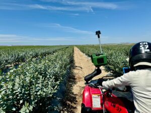 Bloomfield's FLASH Camera collecting data in a blueberry field